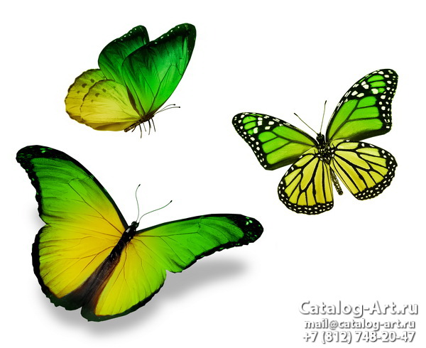  Butterflies 48